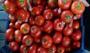 Domatesin sağlık üzerindeki şaşırtıcı etkisi uzmanları şaşırttı