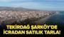 Tekirdağ Şarköy'de icradan satılık tarla!
