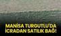 Manisa Turgutlu'da icradan satılık bağ!