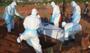 Ebola salgınında kritik eşik! DSÖ tarihinin en ölümcül salgını için uyardı