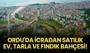 Ordu Fatsa'da icradan satılık ev, tarla ve fındık bahçesi!